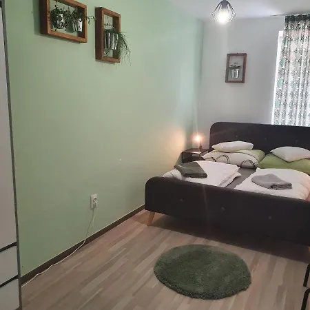 Kaktusz Apartman