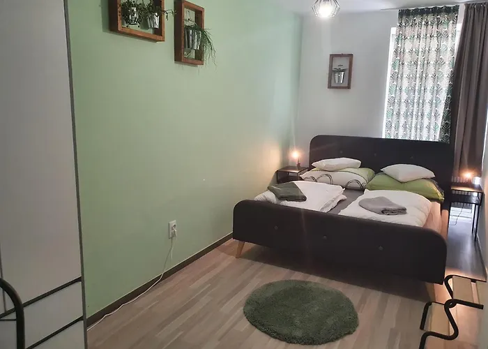 Kaktusz Apartamento